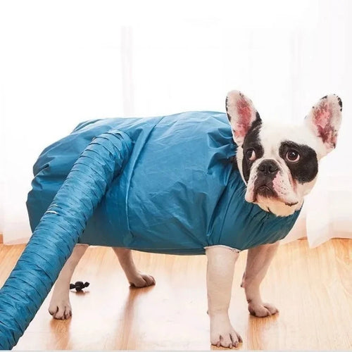 Bolsa de Secado para Perros