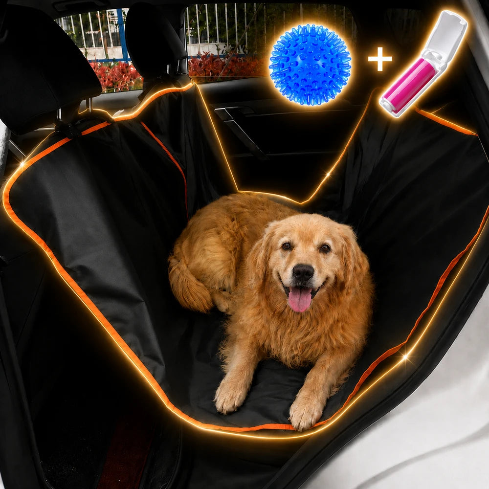perrito alfombra pelota rodillo
